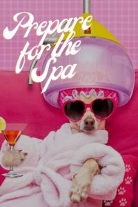 SPA DAY – Castelldefels Sabado 17 – 11H