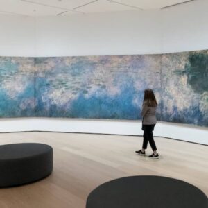 The Museum of Modern Art (MoMA): Entrada