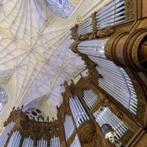 Catedral de San Patricio: Recorrido oficial