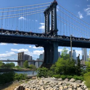Recorrido a pie por Manhattan Puente de Brooklyn y Waterfront