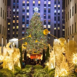 Christmas in New York: Recorrido histórico privado por la temporada navideña