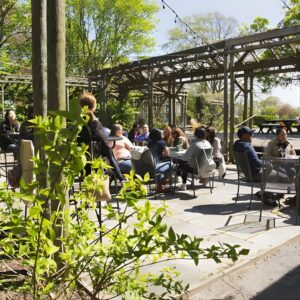 Tour de Vinos de Long Island desde Manhattan (3 Viñedos y Almuerzo Sabroso)