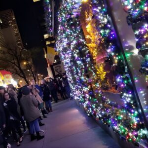 Recorrido a pie Holiday Lights Extravaganza