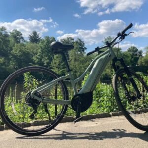 Recorrido en bici eléctrica por Central Park
