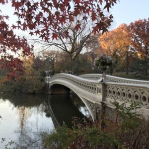 Búsqueda del tesoro en Nueva York: Aventura en Central Park