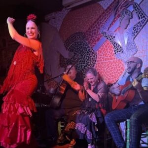 Tablao Flamenco El Toro y la Luna Espectáculo & Cena & Bebida