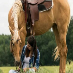 Madrid: experiencia a caballo por la Sierra de Guadarrama