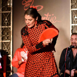 Espectáculo de flamenco local en Taberna el Cortijo