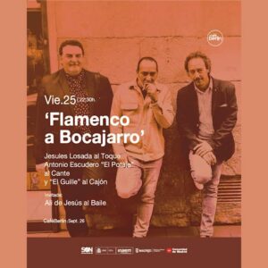 Flamenco a Bocajarro