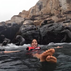 Nadar con Leones Marinos en Isla Palomino en Lima con Entradas