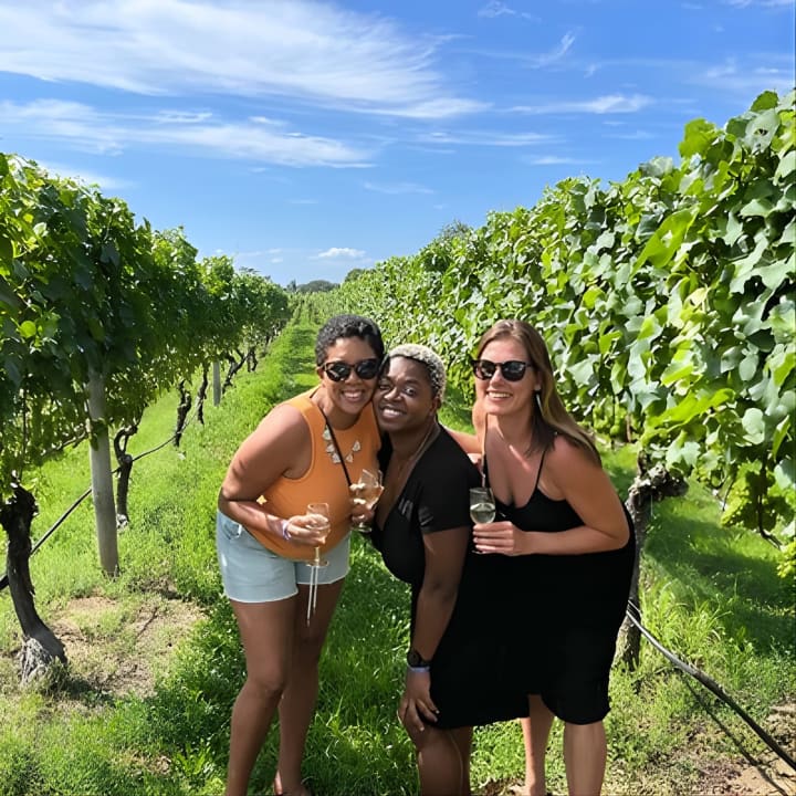 Excursión de un día completo a viñedos para catar vinos y comida en Long Island desde Nueva York