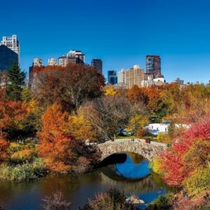 Juego de escape al aire libre de Shakespeare en Central Park de Nueva York