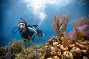 BARCELONA: BAUTIZO DE BUCEO – Sumérgete y vive la experiencia bajo el agua – 2h