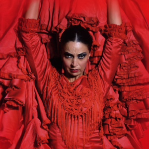 Teatro Flamenco Barcelona: Vive la experiencia del Flamenco