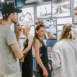 Foto-museo interactivo de la Antártida con realidad virtual