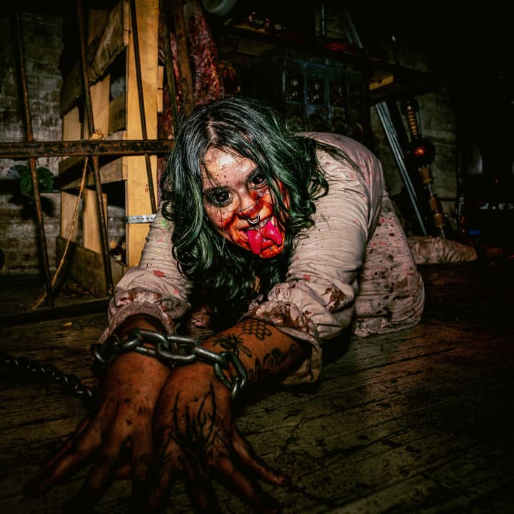 Blood Manor - Imagen 2