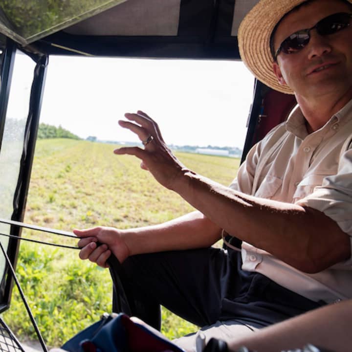 Excursión de un día a Filadelfia y al País Amish desde Nueva York - Imagen 3