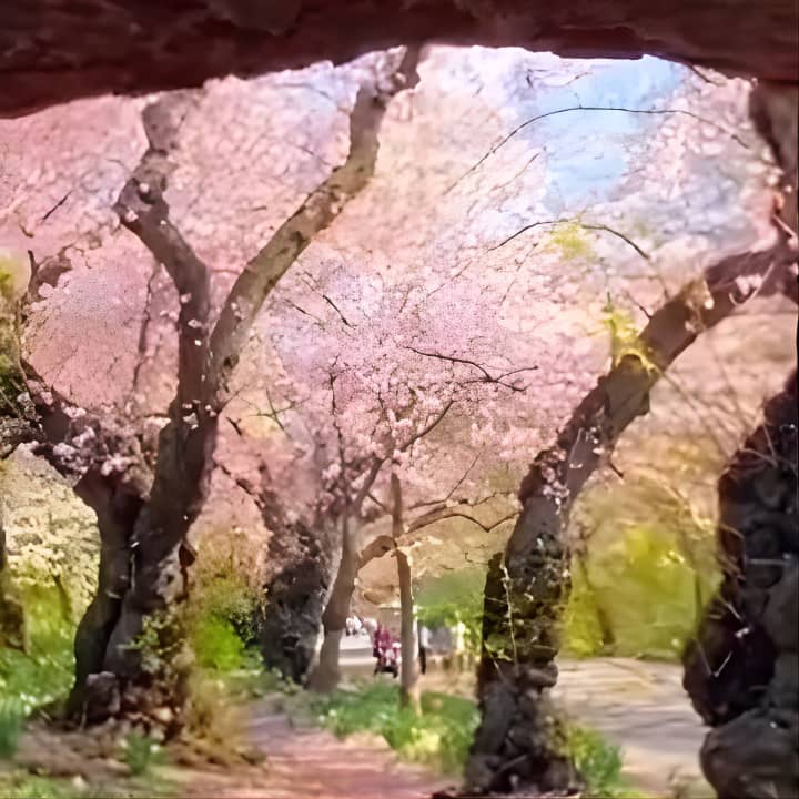Visita guiada a pie en grupo reducido por la ciudad de Nueva York - Imagen 2