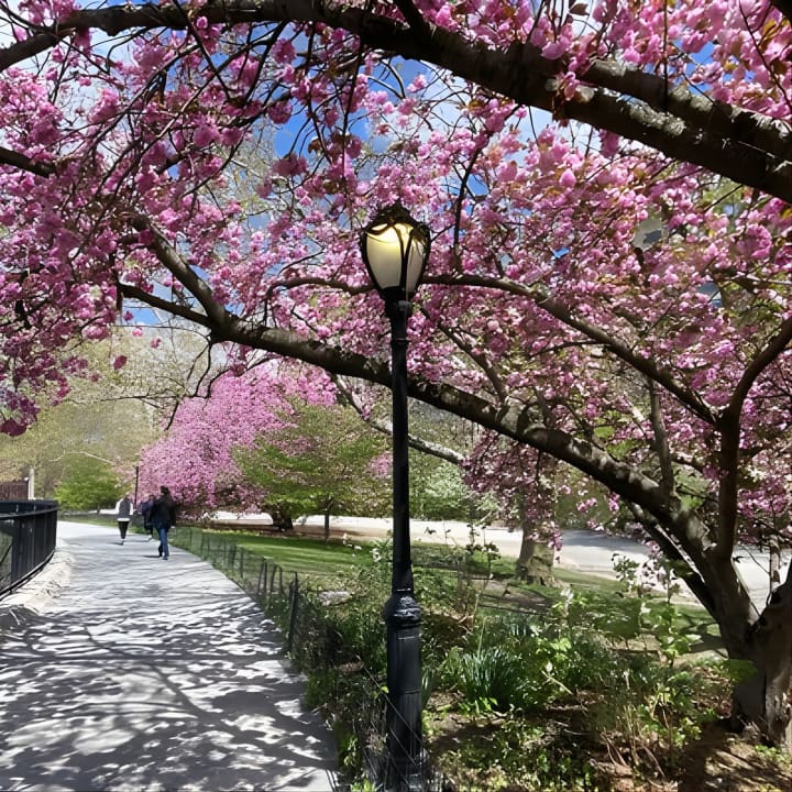 Visita guiada a pie en grupo reducido por la ciudad de Nueva York - Imagen 31