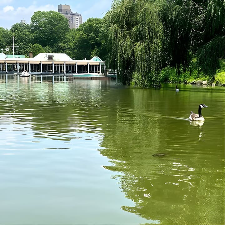Visita guiada a pie en grupo reducido por la ciudad de Nueva York - Imagen 10