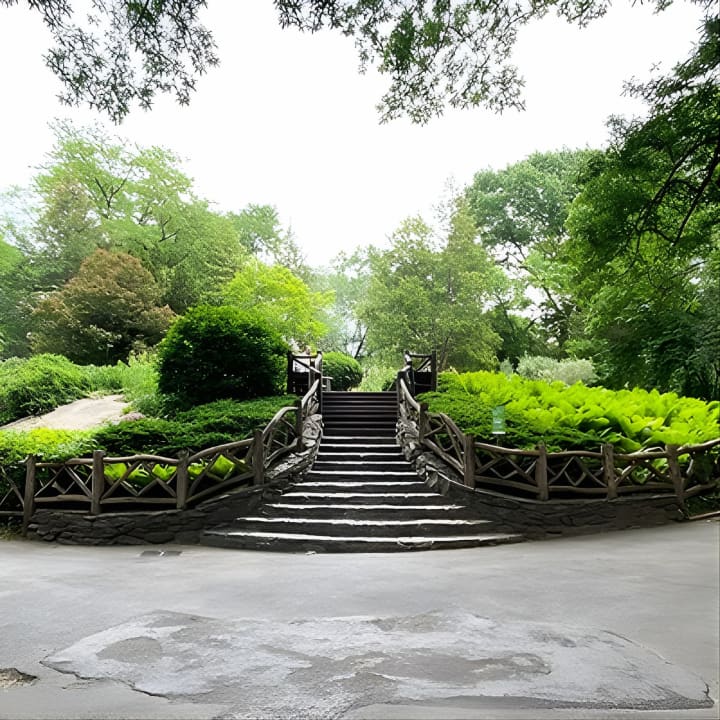 Visita guiada a pie en grupo reducido por la ciudad de Nueva York - Imagen 22