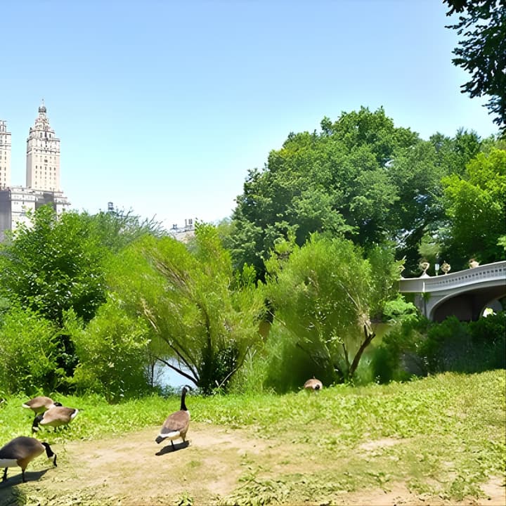 Visita guiada a pie en grupo reducido por la ciudad de Nueva York - Imagen 17