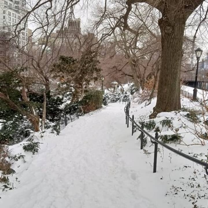 5º & Park - Película & Recorrido de ficción a pie por Carnegie Hill a lo largo de la Milla de los Museos - Imagen 16