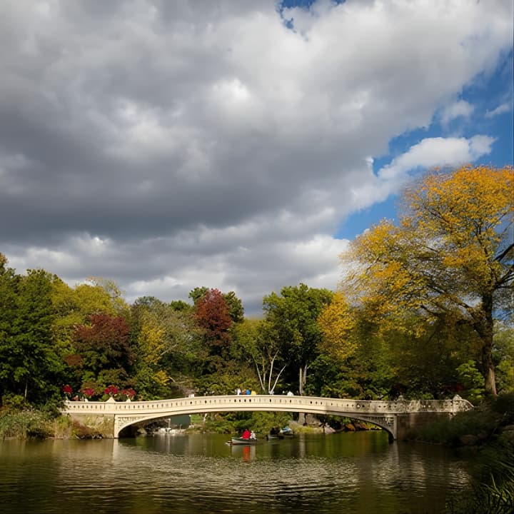 Visita fotográfica a Central Park con un fotógrafo local - Imagen 7