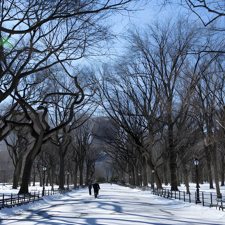 Visita fotográfica a Central Park con un fotógrafo local - Imagen 10