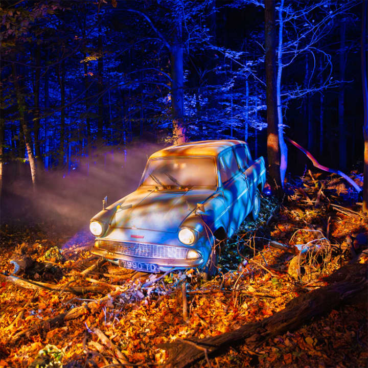 Harry Potter™: A Forbidden Forest Experience - Imagen 6
