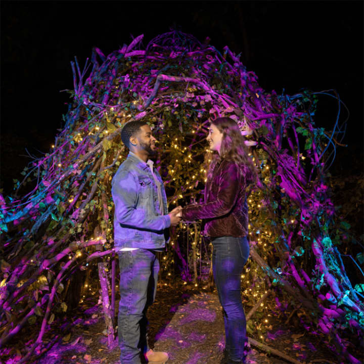 Harry Potter™: A Forbidden Forest Experience - Imagen 5