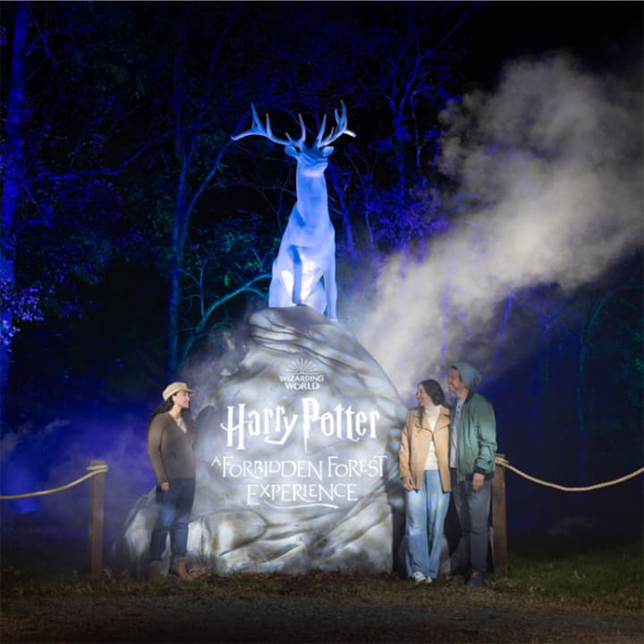 Harry Potter™: A Forbidden Forest Experience - Imagen 4