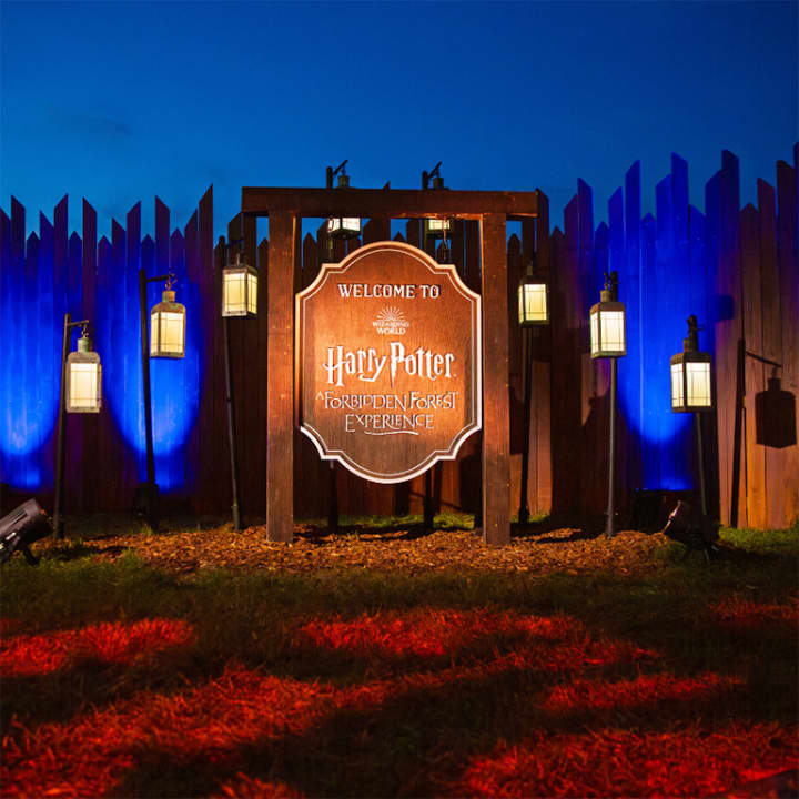 Harry Potter™: A Forbidden Forest Experience - Imagen 3