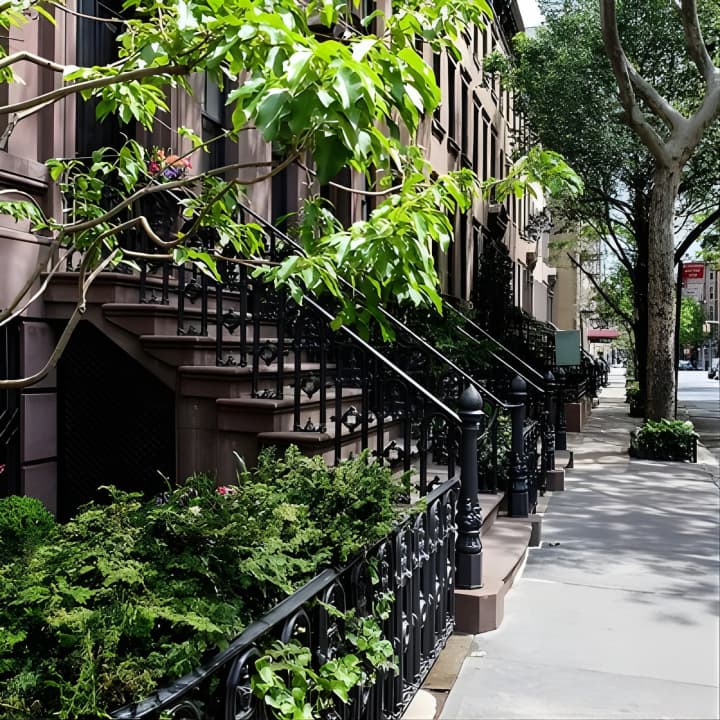 Visita guiada al SoHo, Greenwich Village y Meatpacking District en francés - Imagen 3