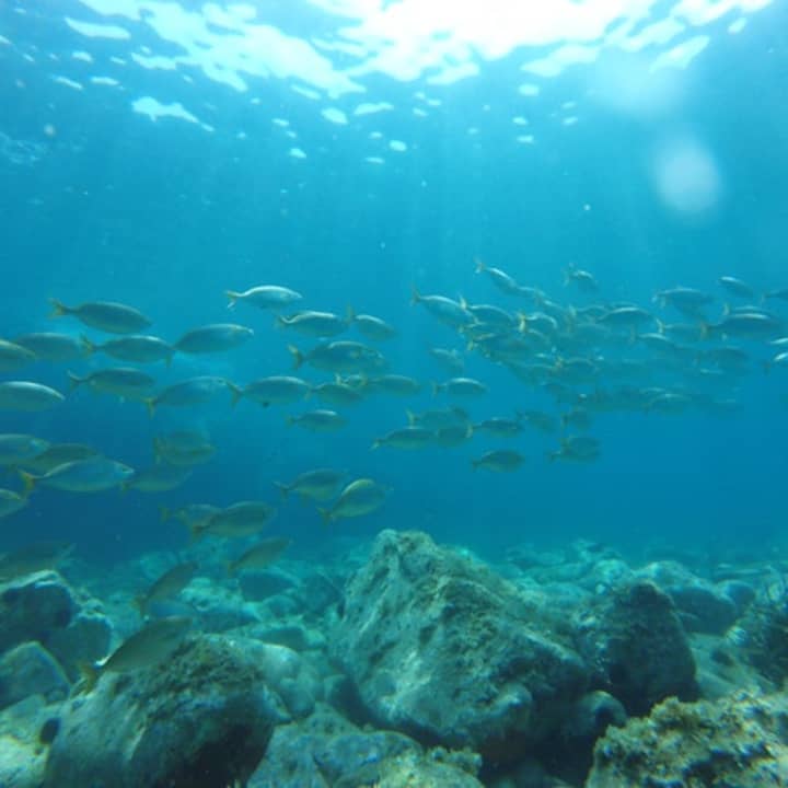 Excursión de kayak y esnórquel en La Costa Brava desde Barcelona - Imagen 3