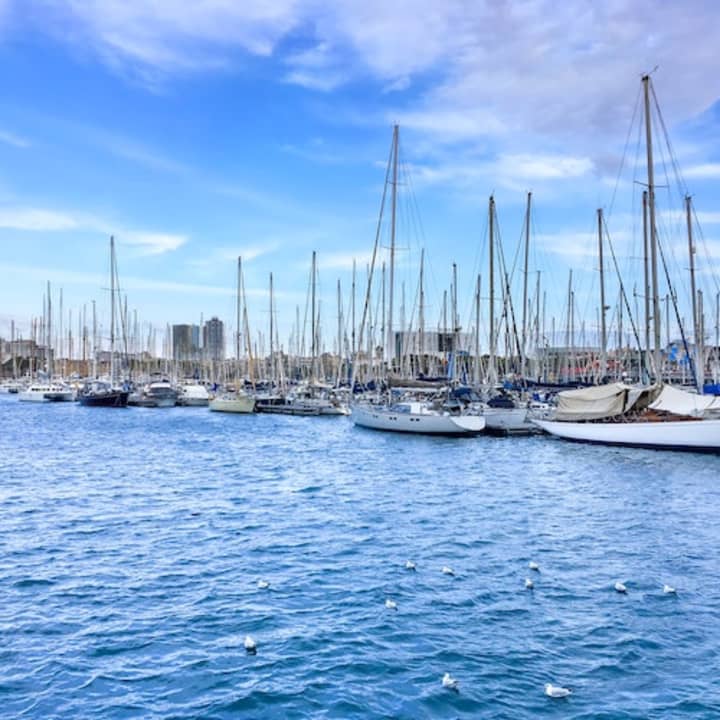 Barcelona: Las Golondrinas Crucero de 60 minutos por el puerto y la costa - Imagen 4