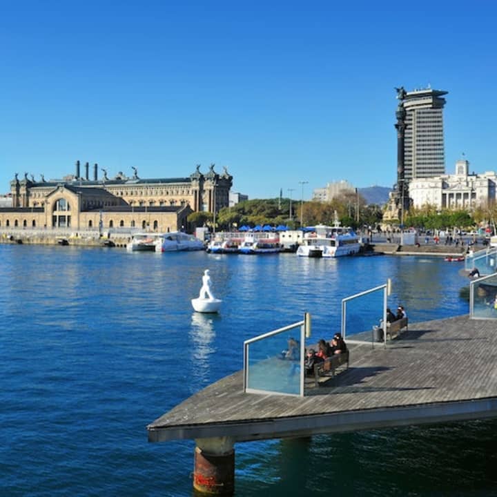Barcelona: Las Golondrinas Crucero de 60 minutos por el puerto y la costa - Imagen 2