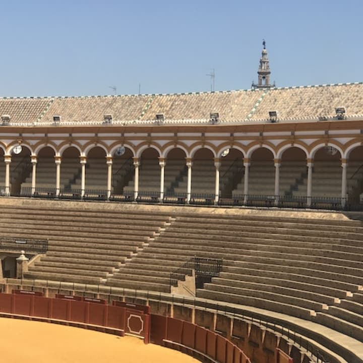 Real Maestranza: Visita guiada - Imagen 5