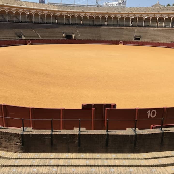 Real Maestranza: Visita guiada - Imagen 4