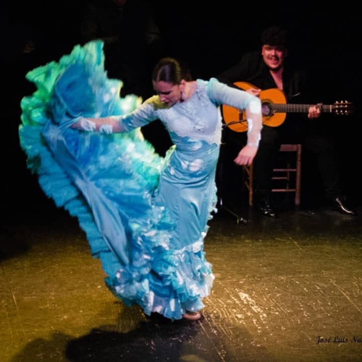 Espectáculo de flamenco en el Teatro Triana - Imagen 4
