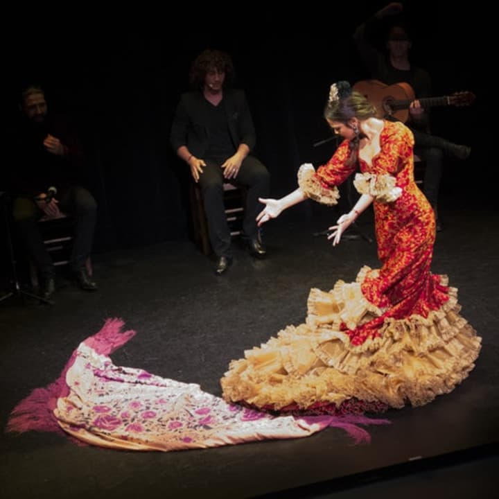 Espectáculo de flamenco en el Teatro Triana - Imagen 3