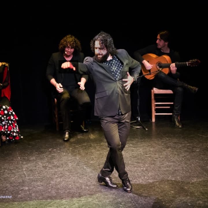 Espectáculo de flamenco en el Teatro Triana - Imagen 2