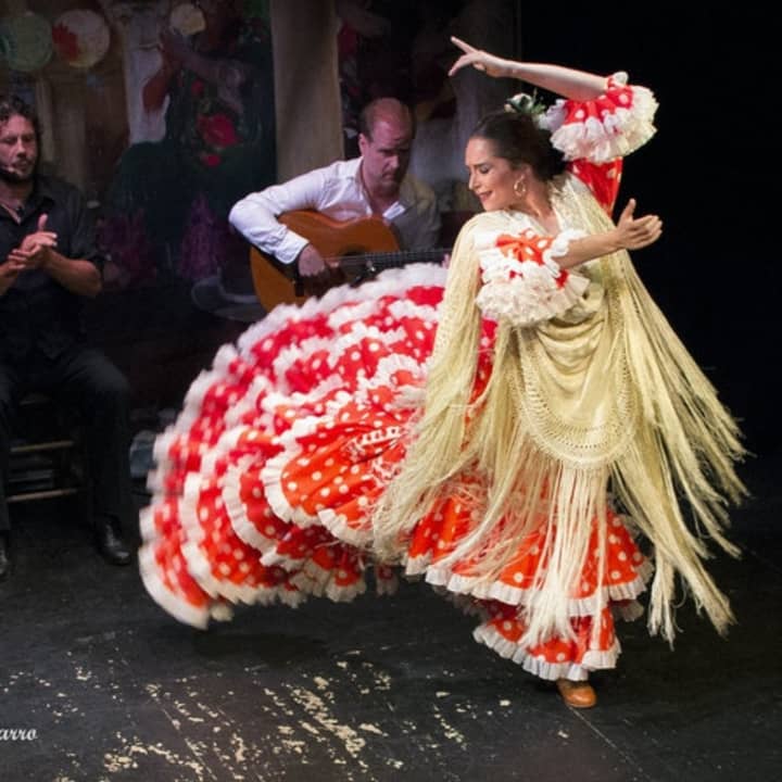 Espectáculo de flamenco en el Teatro Triana - Imagen 5