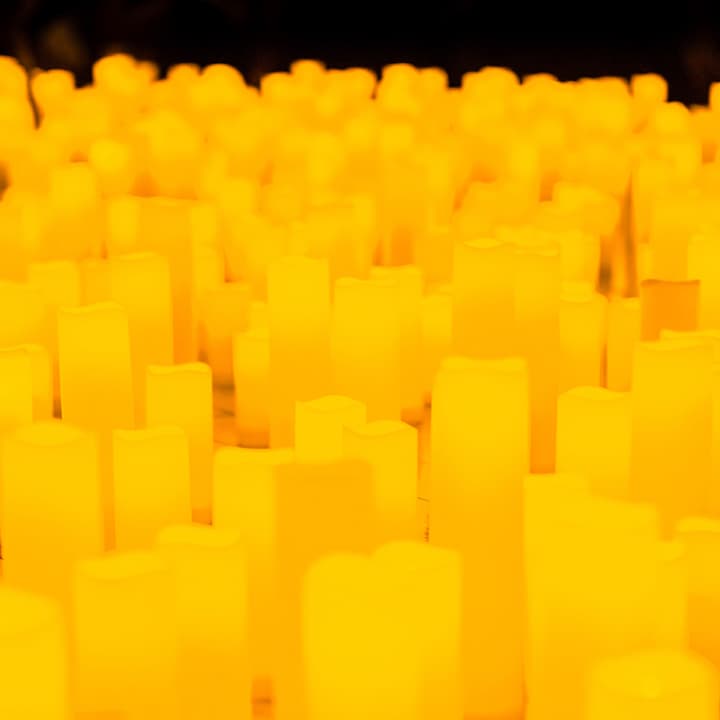 Candlelight: Tributo a Phil Collins - Imagen 3