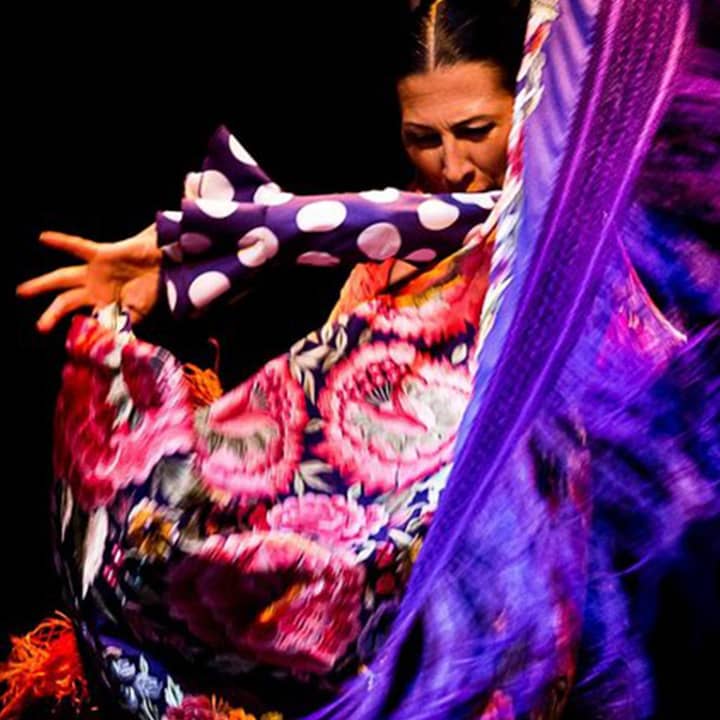 Entradas para el Museo del Baile Flamenco - Imagen 4