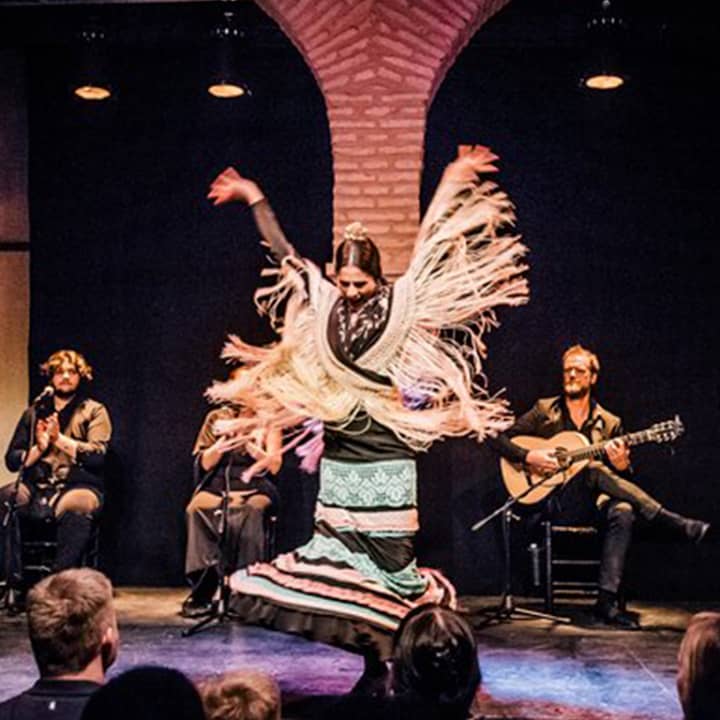 Entradas para el Museo del Baile Flamenco - Imagen 5