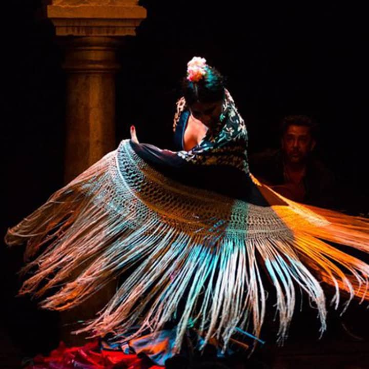 Entradas para el Museo del Baile Flamenco - Imagen 3