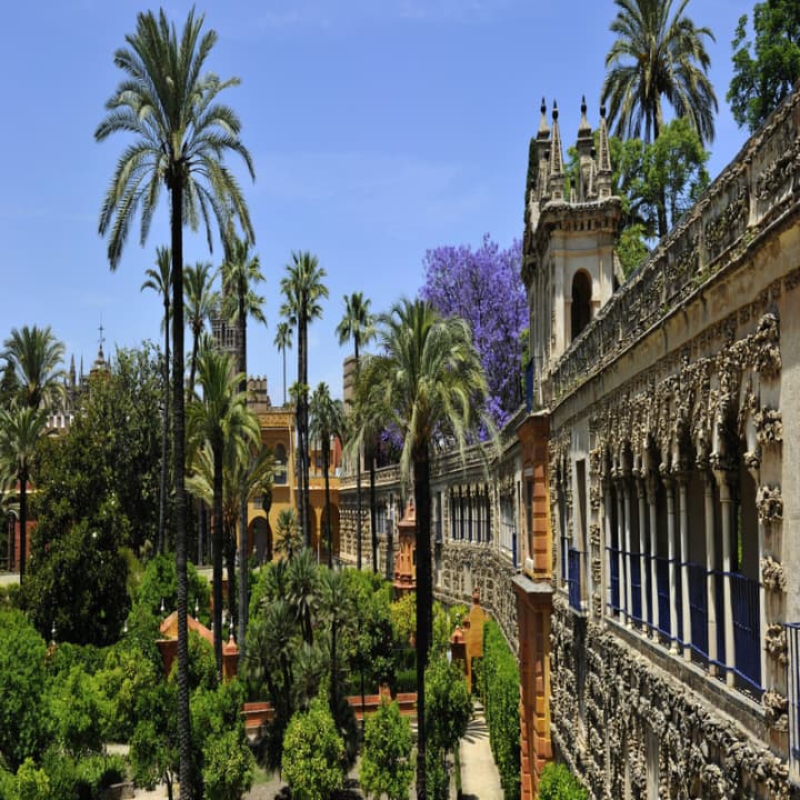 Acceso rápido al Alcázar de Sevilla – Visita guiada en inglés. - Imagen 3