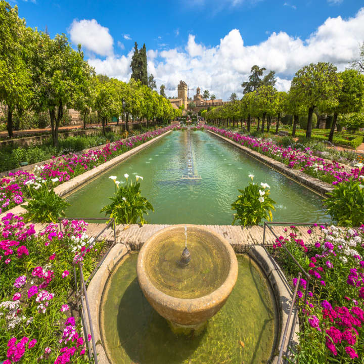 Acceso rápido al Alcázar de Sevilla – Visita guiada en inglés. - Imagen 2