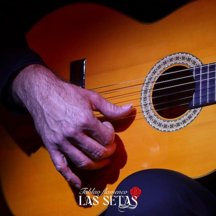Tablao Flamenco La Setas Sevilla: Espectáculo Flamenco - Imagen 15